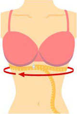 Bra Fitting Measure