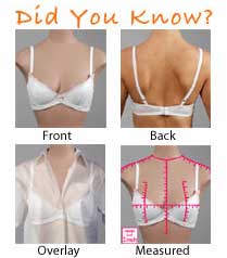Front, back, overlay and measured bra views