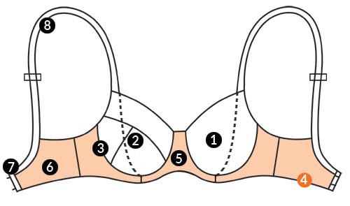 parts-of-a-bra-band