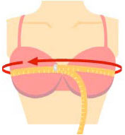 Bra Fitting - How to Measure Bra Size